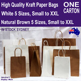 KRAFT Paper Gift Bags | 1 Carton | Brown or White | LARGE